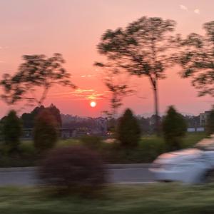 Betty’s Backseat AION