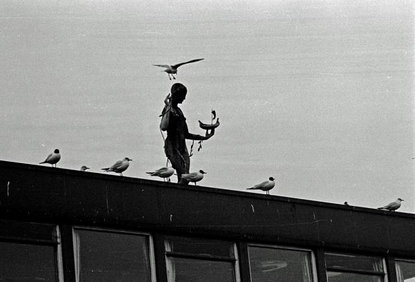 Hamburg 1971