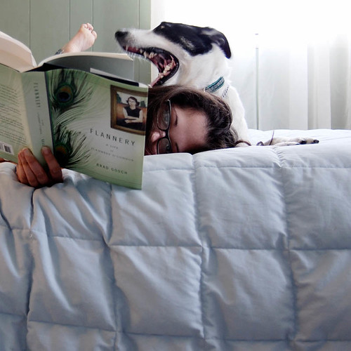 'Outside of a dog, a book is probably man's best friend, and inside of a dog, it's too dark to read.' -- Groucho Marx