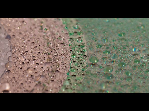 365 project - 10 06 10