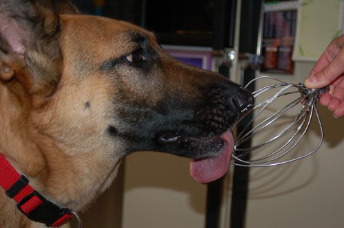 Buffy, cleaning the wisk