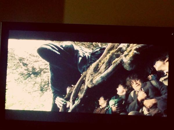 Xmas day plans: Me, my couch, and LotR extended Bluray editions.