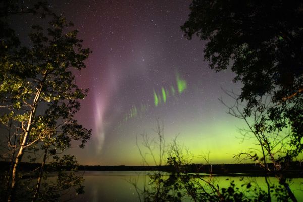 Citizen scientist images of STEVE