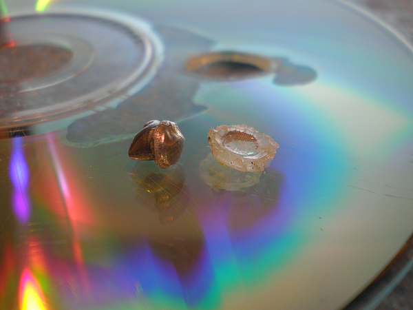 Air gun pellet impact