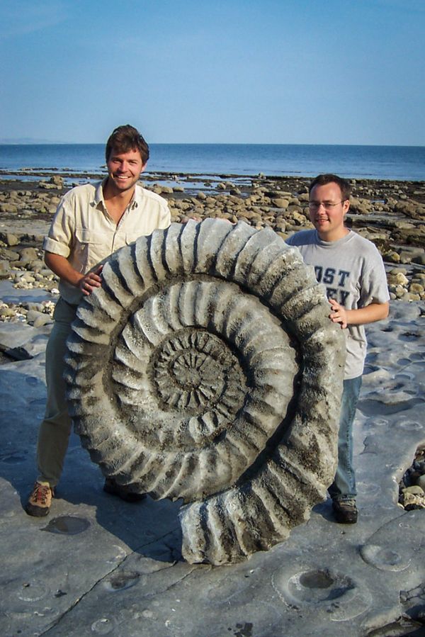 10 yrs ago today I was filming giant ammonites with Steve Leonard @ThatVetOffTheTV for Journey of Life - my 1st BBC shoot.