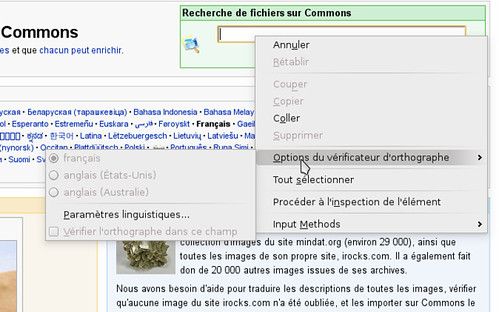 Changer les options de correction d'orthographe sur Chromium