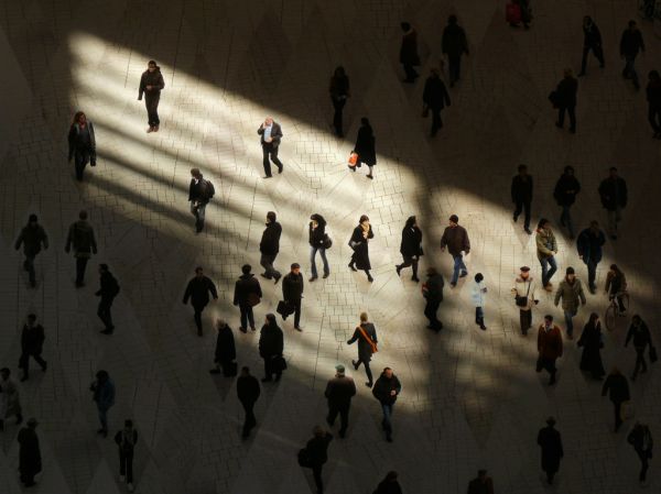 Their Combination Is Spectacular