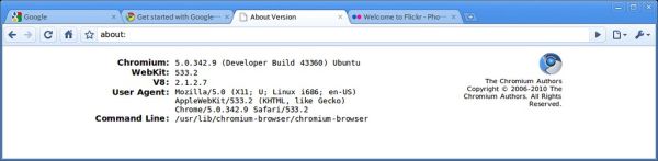 Screenshot-About Version - Chromium