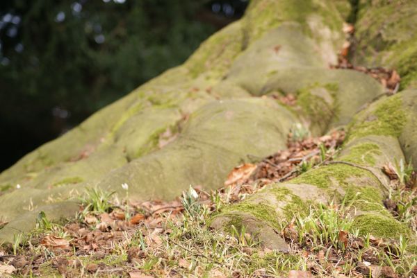 Essen - Villa Huegel und Baldeneysee 4
