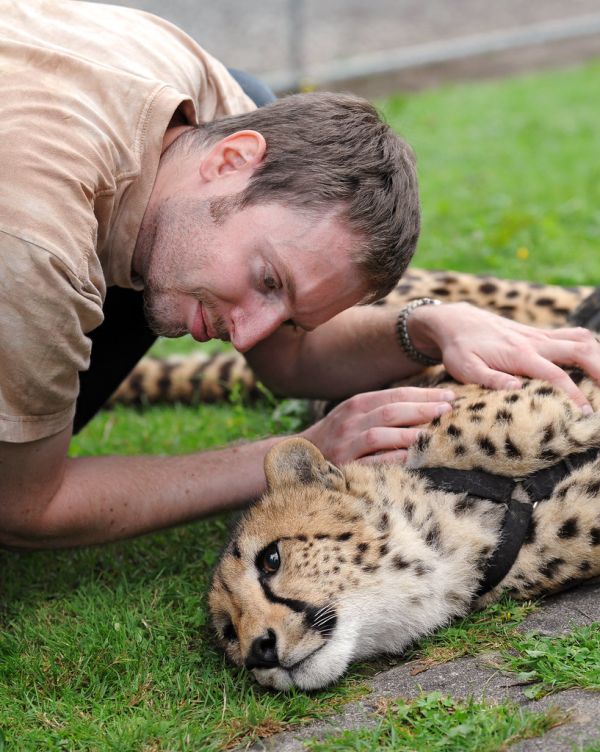 I've been tagged : Jade and me