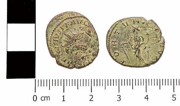 <div class='fn'> COIN</div>