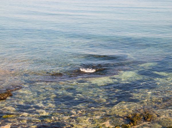Waters of Black sea