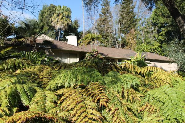 Betty White Tour - Stop #3 (The Golden Girls House)