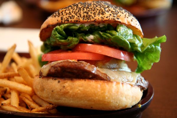Here's another shot of Hamburger!