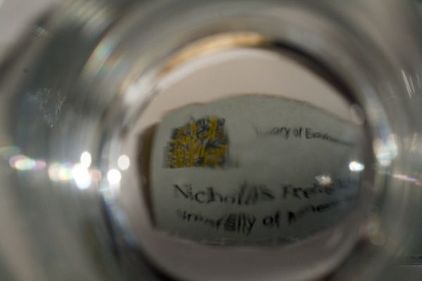 Through a glass (Brightly)