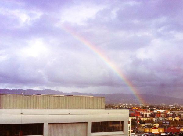 Steve Jobs Rainbow over Pixar
