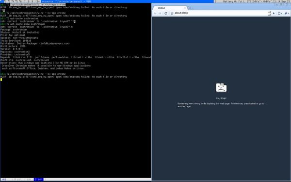 Chromium crash