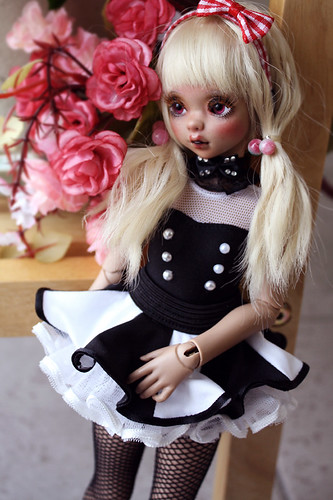 Saintbloom brown Betty