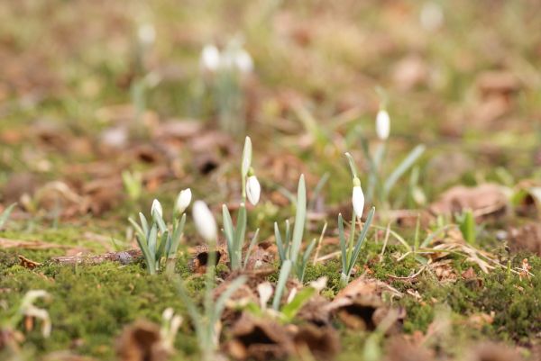 Essen - Villa Huegel und Baldeneysee 5