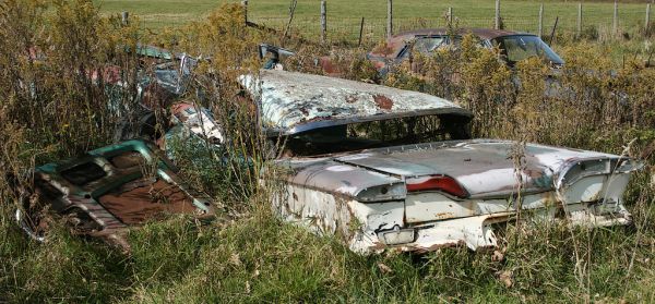 My Brother, Steve's Farm / Pefferlaw, Ontario / Thanksgiving, 2008 / Edsel