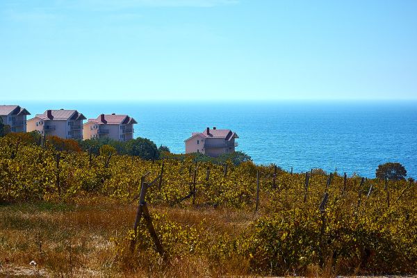 Black sea
