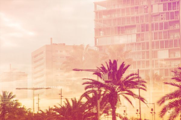 Vice City.