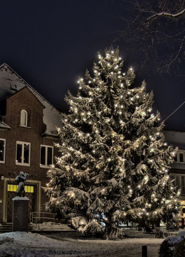 Christmas Tree in Hamburg, Volksdorf