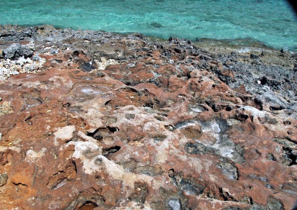 Calcrete paleosol (Green Cay, offshore San Salvador Island, Bahamas) 9