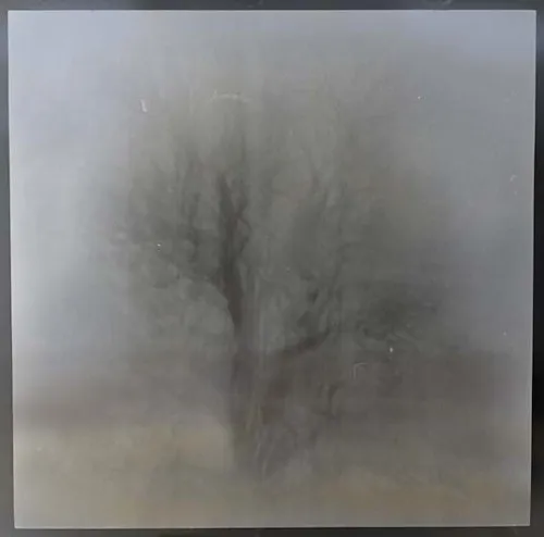 Surreal Steve II- vertical panning blur