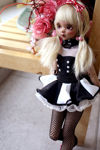 Saintbloom brown Betty