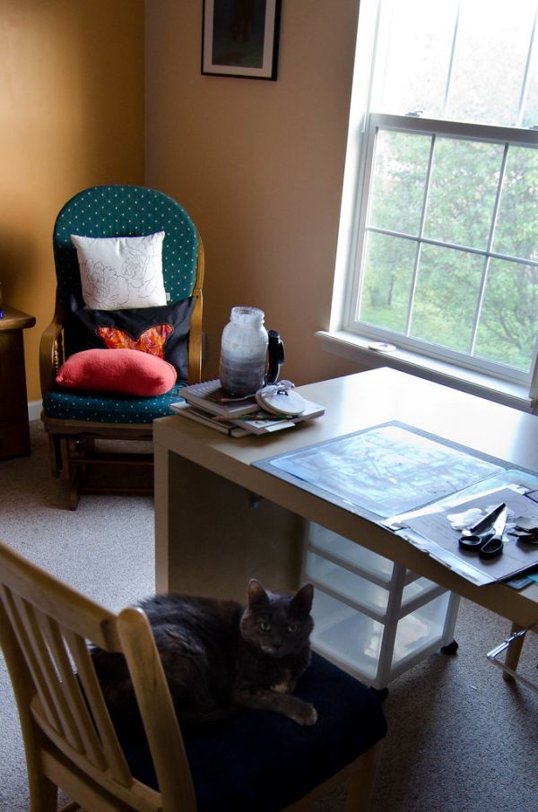 Fluffy enjoying the studio