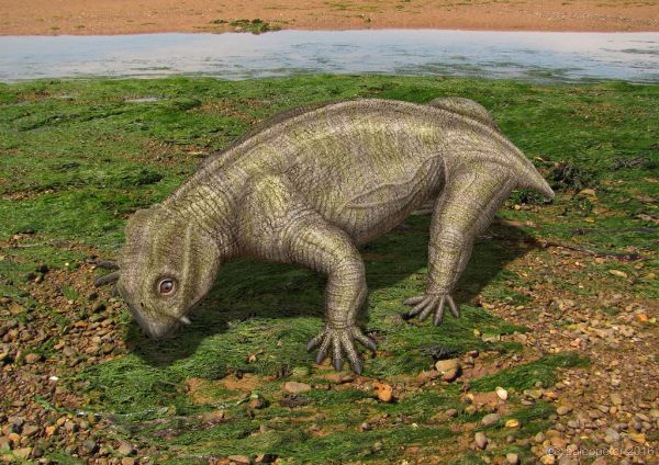 Lystrosaurus