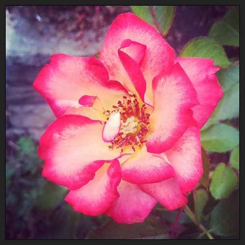 That's 'Betty Boop,' Miss Boop to you!