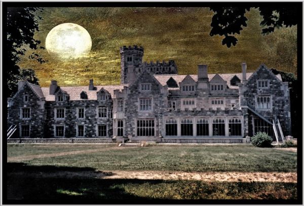 Gould-Guggenheim Estate ~ Sand Points NY ~ Long Island ~ Hempstead ~ Film 90's ~ Texture