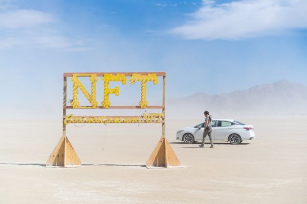 This Is Not a NFT by Steve Landis