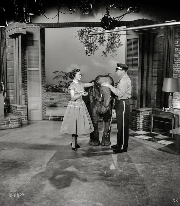 1954 ... Betty White with elephant!