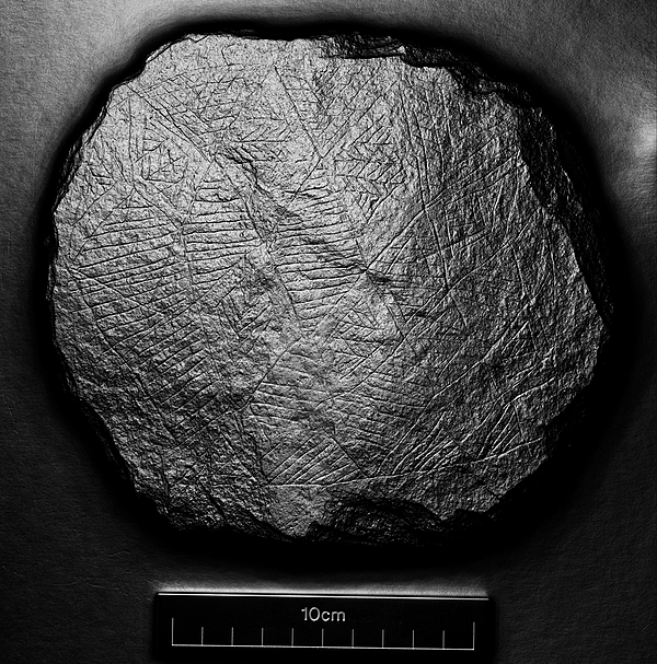 <div class='fn'> slate (lozenge) photographed by Marta Diaz-Guardamino</div>