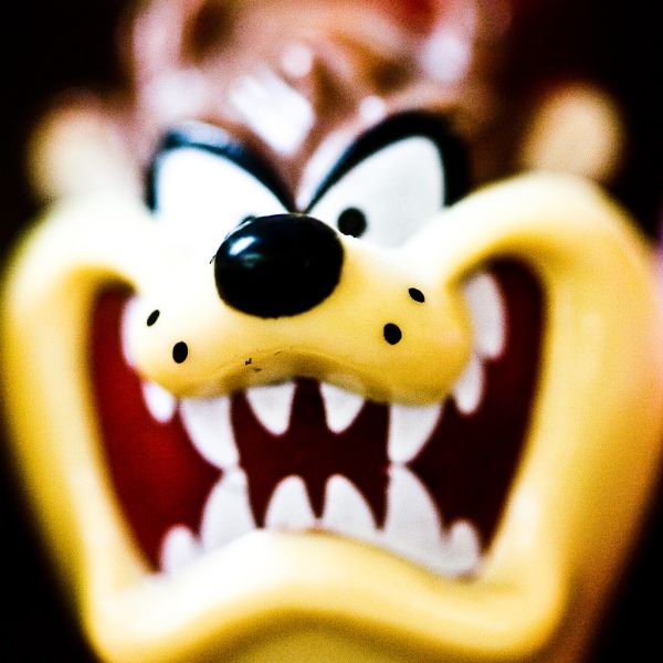 Wanna Say That to My Face