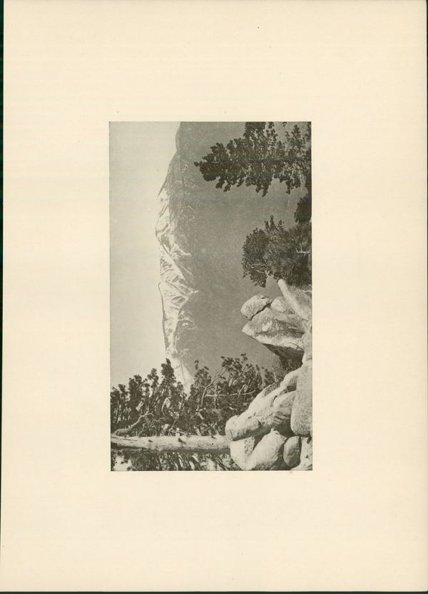 El Rodeo (1923) (50550)