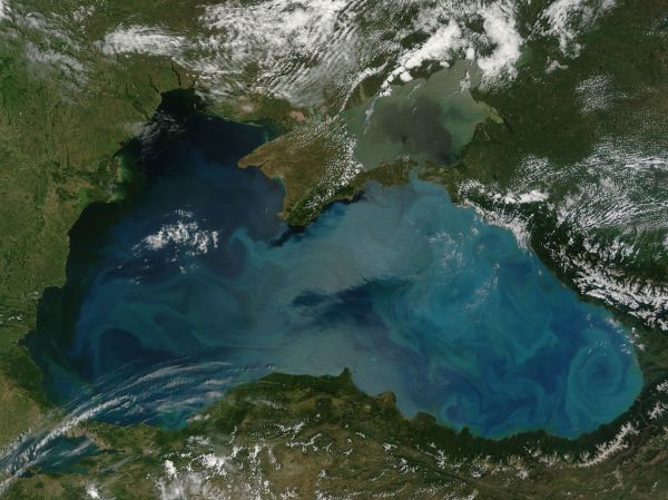 Phytoplankton bloom in the Black Sea