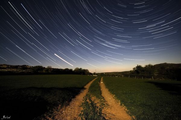 When the sun goes down, the stars come out to play