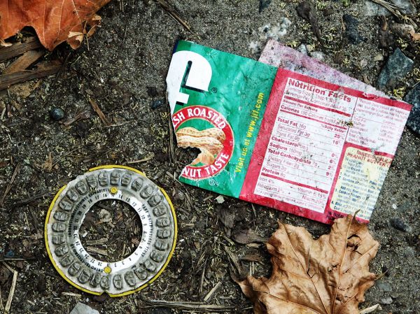 dead leaves and the dirty ground