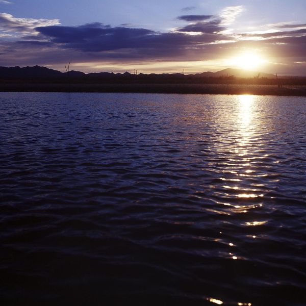 Sunset at Beal Lake Conservation Area. Reclamation photo. http://1.usa.gov/1RLjWRo #sunriseandsunsets
