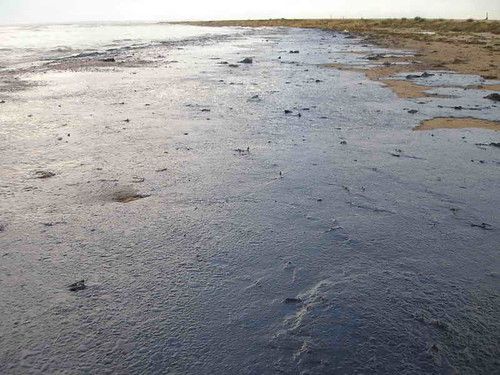 Oil Covering a Beach - Black Sea Oil Spill 11/12/07