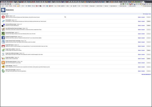 Chromium Extensions