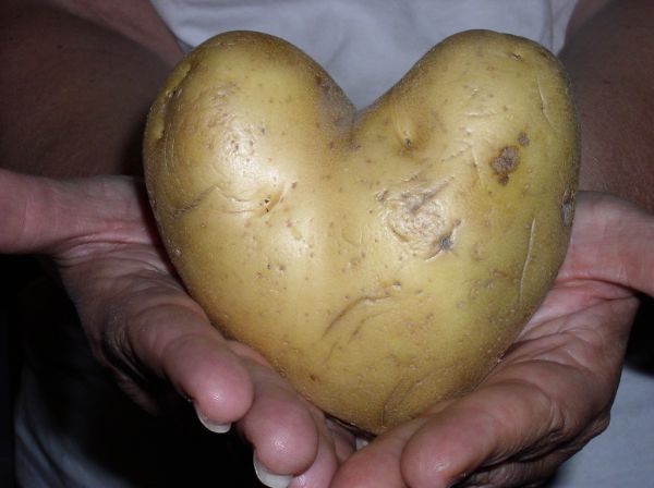 Too sweet for French fries!