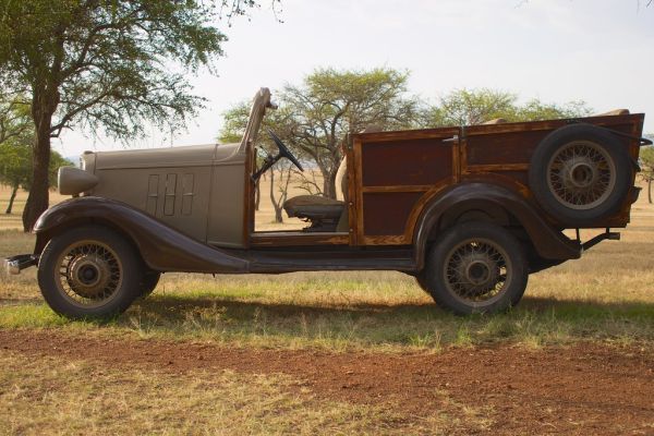 African safari, Aug 2014 - 059