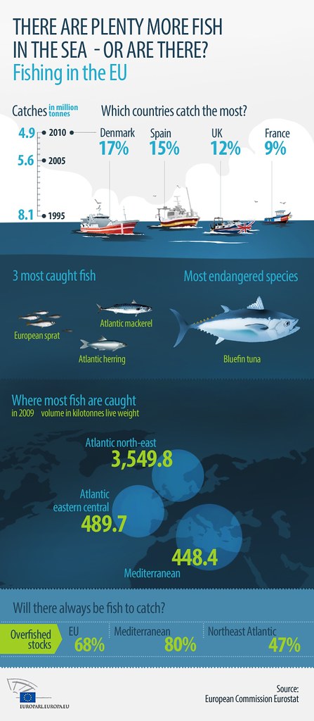 Plenty of fish in the sea?