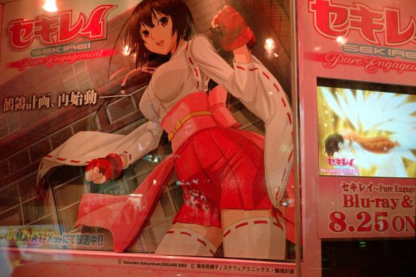 アニメイト 秋葉原 1F中央通り沿いショーウィンドウ セキレイ ～Pure Engagement～ Blu-ray & DVD