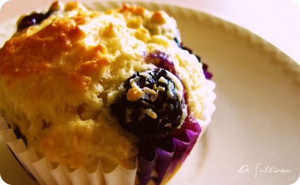 Have you seen the muffin man?